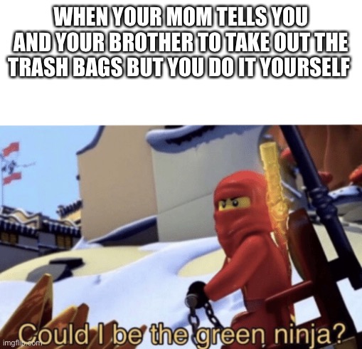 Let’s try this again | WHEN YOUR MOM TELLS YOU AND YOUR BROTHER TO TAKE OUT THE TRASH BAGS BUT YOU DO IT YOURSELF | image tagged in could i be the green ninja | made w/ Imgflip meme maker