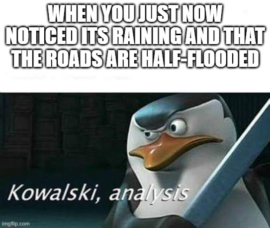 apparently its been raining for a few hours lmao | WHEN YOU JUST NOW NOTICED ITS RAINING AND THAT THE ROADS ARE HALF-FLOODED | image tagged in kowalski analysis | made w/ Imgflip meme maker
