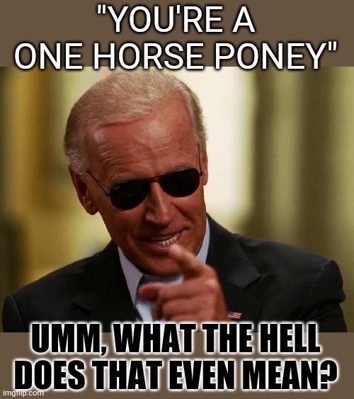 Ol' dementia Joe calls a reporter a "one horse pony" when the reporter asks him about Hunter Biden. | "YOU'RE A ONE HORSE PONEY"; UMM, WHAT THE HELL DOES THAT EVEN MEAN? | image tagged in cool joe biden | made w/ Imgflip meme maker