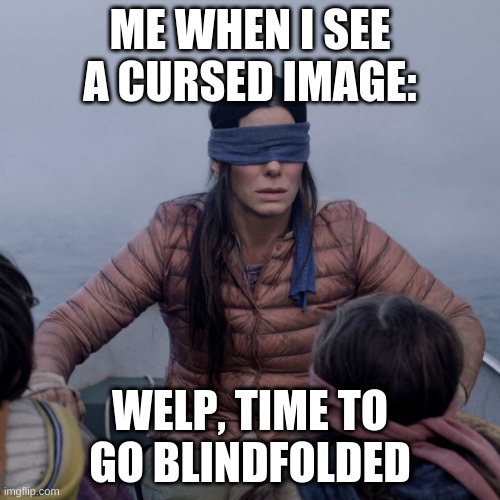 Bird Box | ME WHEN I SEE A CURSED IMAGE:; WELP, TIME TO GO BLINDFOLDED | image tagged in memes,bird box | made w/ Imgflip meme maker