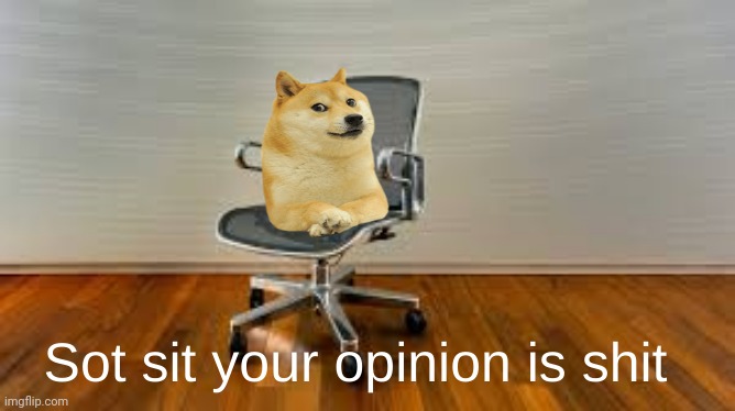 Sot sit your opinion is shit | image tagged in sot sit your opinion is shit | made w/ Imgflip meme maker