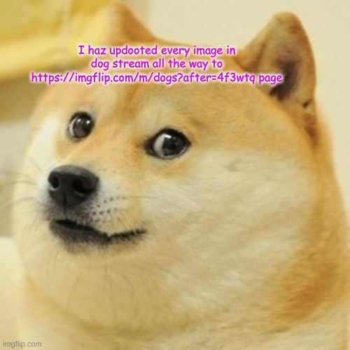 your wecome | I haz updooted every image in dog stream all the way to https://imgflip.com/m/dogs?after=4f3wtq page | image tagged in memes,doge | made w/ Imgflip meme maker