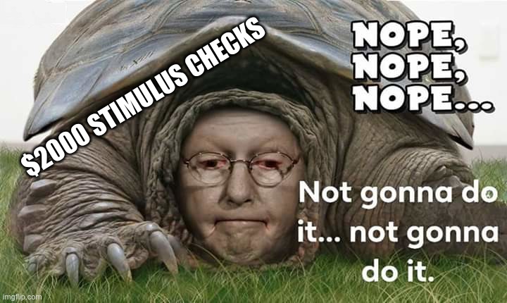 $2000 Stimulus Checks | $2000 STIMULUS CHECKS | image tagged in gop,mcconnell,let them eat cake,worship the wealthy | made w/ Imgflip meme maker