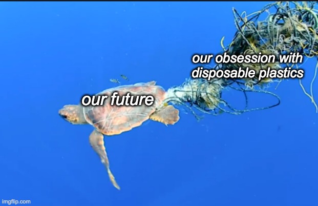 Crappy plastic stocking stuffers are the real Grinch | our obsession with disposable plastics; our future | image tagged in holidays,christmas,plastic,environment,ocean | made w/ Imgflip meme maker