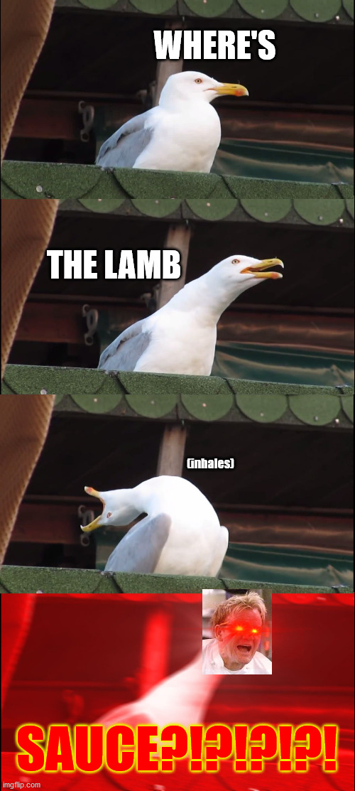 where's the lamb sauce seagull | WHERE'S; THE LAMB; (inhales); SAUCE?!?!?!?! | image tagged in memes,inhaling seagull,gordon ramsay,lamb sauce | made w/ Imgflip meme maker