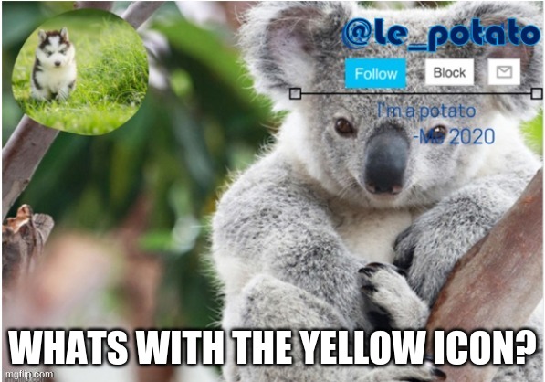 im rlly confused about this | WHATS WITH THE YELLOW ICON? | made w/ Imgflip meme maker