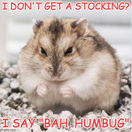 Don't make hamster be Scrooge: make sure there's a carrot in that stocking | I DON'T GET A STOCKING? I SAY "BAH, HUMBUG" | image tagged in you know what you did | made w/ Imgflip meme maker