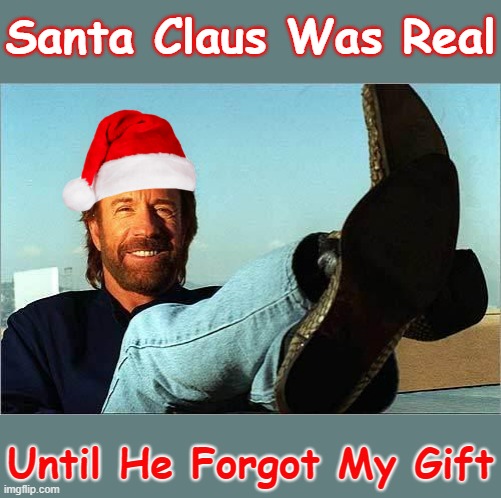 Merry Christmas Folks ☃❅☃ | Santa Claus Was Real; Until He Forgot My Gift | image tagged in chuck norris says,merry christmas,memes | made w/ Imgflip meme maker