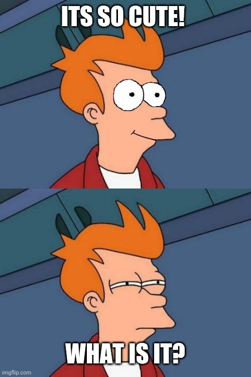 happy skeptical fry | ITS SO CUTE! WHAT IS IT? | image tagged in happy skeptical fry | made w/ Imgflip meme maker