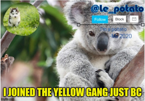 I JOINED THE YELLOW GANG JUST BC | made w/ Imgflip meme maker