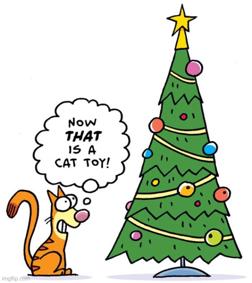 So true... | image tagged in memes,funny,cats,animals,christmas tree,so true memes | made w/ Imgflip meme maker