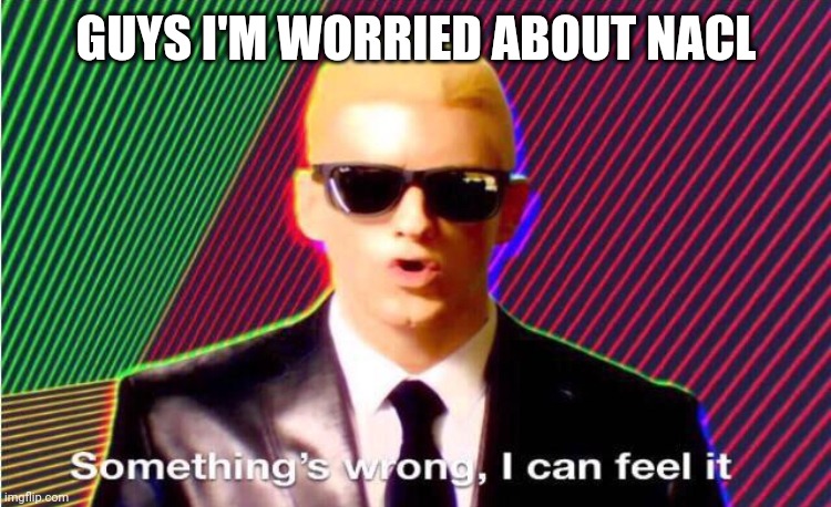 Something’s wrong | GUYS I'M WORRIED ABOUT NACL | image tagged in something s wrong | made w/ Imgflip meme maker