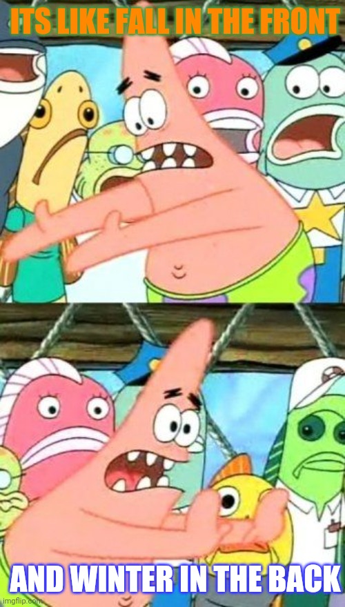 Put It Somewhere Else Patrick Meme | ITS LIKE FALL IN THE FRONT AND WINTER IN THE BACK | image tagged in memes,put it somewhere else patrick | made w/ Imgflip meme maker