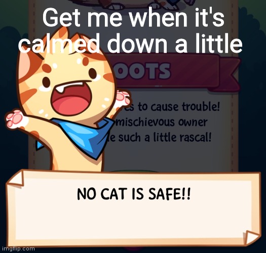 No cat is safe!!! | Get me when it's calmed down a little | image tagged in no cat is safe | made w/ Imgflip meme maker