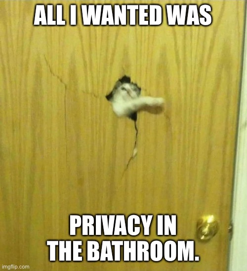 The Shining Cat | ALL I WANTED WAS; PRIVACY IN THE BATHROOM. | image tagged in the shining cat | made w/ Imgflip meme maker