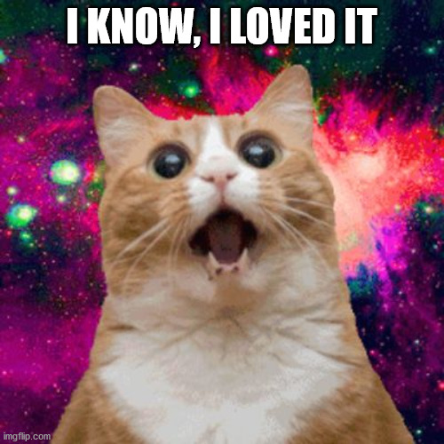 Kitties be trippin | I KNOW, I LOVED IT | image tagged in kitties be trippin | made w/ Imgflip meme maker