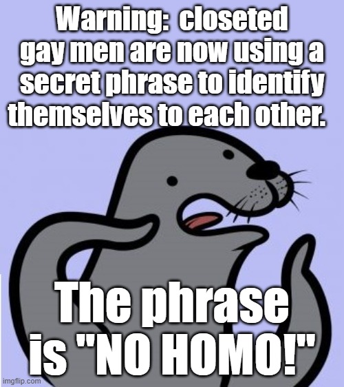 It's too obvious | Warning:  closeted gay men are now using a secret phrase to identify themselves to each other. The phrase is "NO HOMO!" | image tagged in homophobic seal large,closeted gay,secrets,phrases,no homo | made w/ Imgflip meme maker