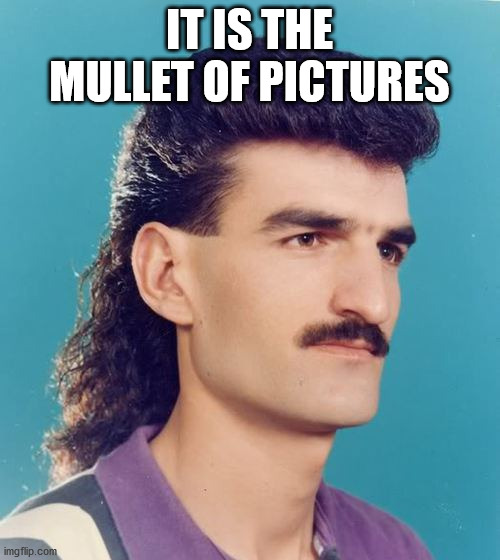 mullet  | IT IS THE MULLET OF PICTURES | image tagged in mullet | made w/ Imgflip meme maker