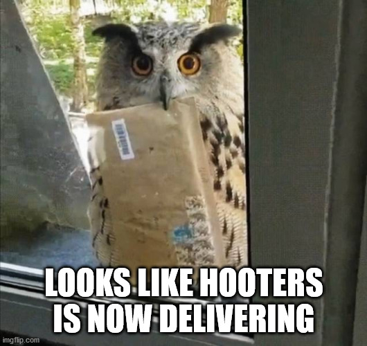 LOOKS LIKE HOOTERS IS NOW DELIVERING | made w/ Imgflip meme maker