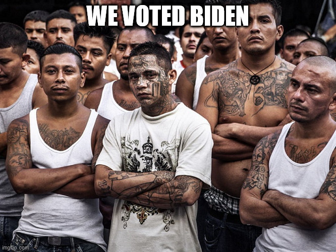 ms-13 dreamers daca | WE VOTED BIDEN | image tagged in ms-13 dreamers daca | made w/ Imgflip meme maker