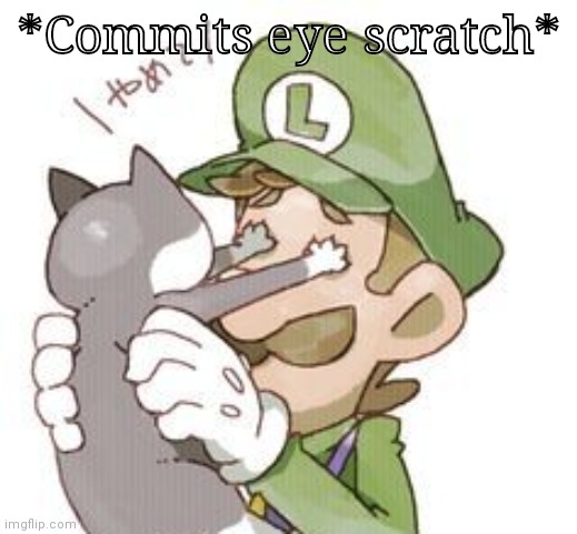 High Quality Luigi commits eye scratch Blank Meme Template