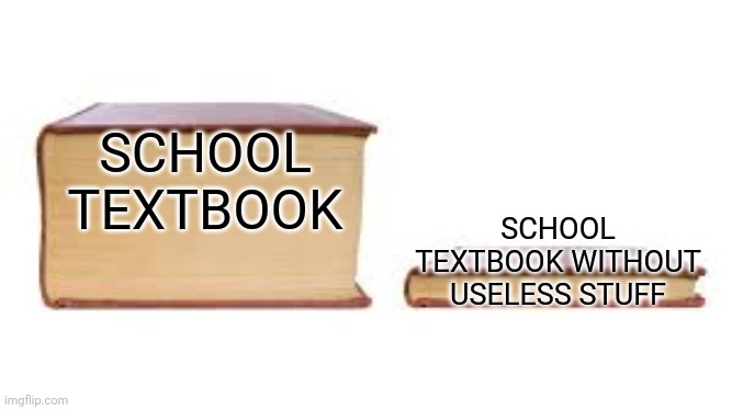 Big book small book | SCHOOL TEXTBOOK; SCHOOL TEXTBOOK WITHOUT USELESS STUFF | image tagged in big book small book | made w/ Imgflip meme maker