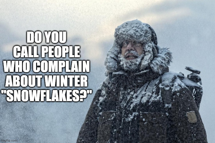 For those who eat ice cream year round |  DO YOU CALL PEOPLE WHO COMPLAIN ABOUT WINTER "SNOWFLAKES?" | image tagged in f winter,special snowflake,complainers,cold weather | made w/ Imgflip meme maker