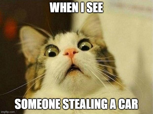 Scared Cat Meme | WHEN I SEE; SOMEONE STEALING A CAR | image tagged in memes,scared cat | made w/ Imgflip meme maker