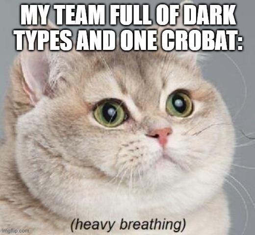 Heavy Breathing Cat Meme | MY TEAM FULL OF DARK TYPES AND ONE CROBAT: | image tagged in memes,heavy breathing cat,no context for you | made w/ Imgflip meme maker