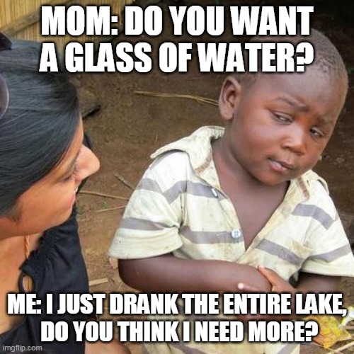 Drinking Lake Person | MOM: DO YOU WANT A GLASS OF WATER? ME: I JUST DRANK THE ENTIRE LAKE,
 DO YOU THINK I NEED MORE? | image tagged in memes,third world skeptical kid | made w/ Imgflip meme maker