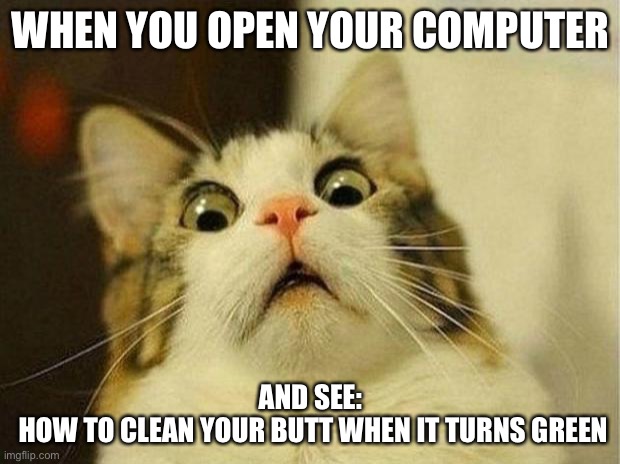 Green?..... | WHEN YOU OPEN YOUR COMPUTER; AND SEE:
 HOW TO CLEAN YOUR BUTT WHEN IT TURNS GREEN | image tagged in memes,scared cat | made w/ Imgflip meme maker