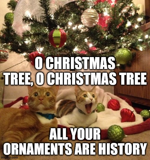 I acually tie my christmas tree to the wall because, 4 cats. Just saying | O CHRISTMAS TREE, O CHRISTMAS TREE; ALL YOUR ORNAMENTS ARE HISTORY | image tagged in christmas cats,random,santa claus | made w/ Imgflip meme maker