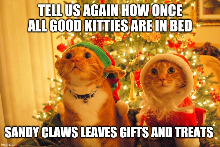 Waiting on Sandy Claws | TELL US AGAIN HOW ONCE ALL GOOD KITTIES ARE IN BED; SANDY CLAWS LEAVES GIFTS AND TREATS | image tagged in christmas cats hopeful | made w/ Imgflip meme maker