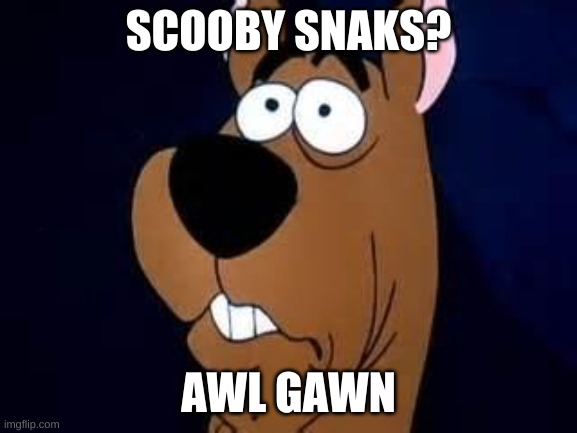 Scooby Doo Surprised | SCOOBY SNAKS? AWL GAWN | image tagged in scooby doo surprised | made w/ Imgflip meme maker