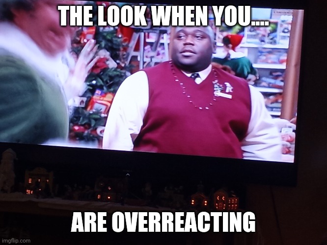 That look... | THE LOOK WHEN YOU.... ARE OVERREACTING | image tagged in christmas,elf | made w/ Imgflip meme maker