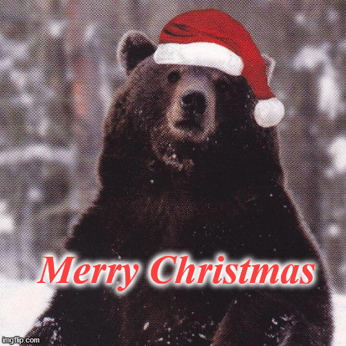 bear | Merry Christmas | image tagged in bear | made w/ Imgflip meme maker