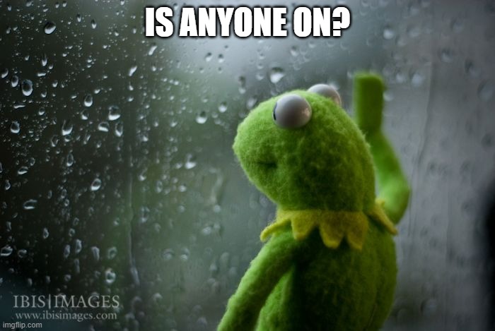 kermit window | IS ANYONE ON? | image tagged in kermit window | made w/ Imgflip meme maker