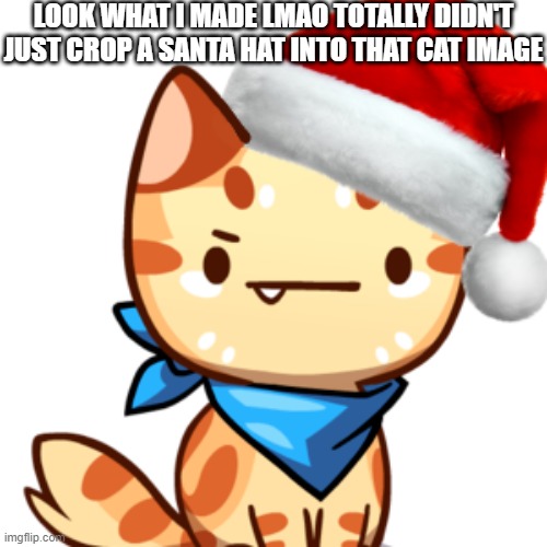 t o t a l l y | LOOK WHAT I MADE LMAO TOTALLY DIDN'T JUST CROP A SANTA HAT INTO THAT CAT IMAGE | made w/ Imgflip meme maker