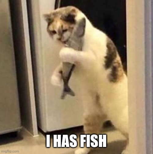 Yeah | I HAS FISH | image tagged in hungry cat | made w/ Imgflip meme maker