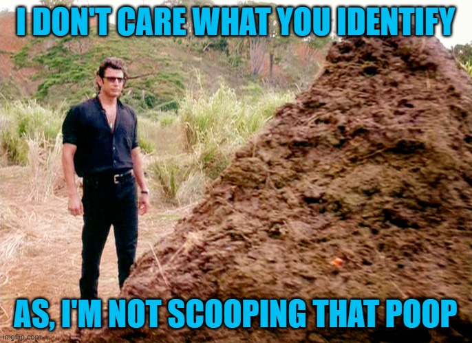 Memes, Poop, Jurassic Park | I DON'T CARE WHAT YOU IDENTIFY AS, I'M NOT SCOOPING THAT POOP | image tagged in memes poop jurassic park | made w/ Imgflip meme maker