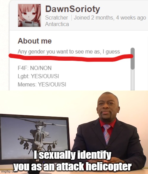 Im so dumb it hurts | I sexually identify you as an attack helicopter | image tagged in memes | made w/ Imgflip meme maker