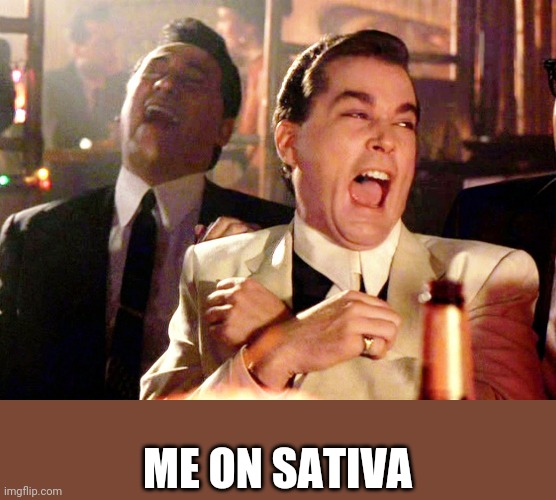 Good Fellas Hilarious | ME ON SATIVA | image tagged in memes,good fellas hilarious | made w/ Imgflip meme maker