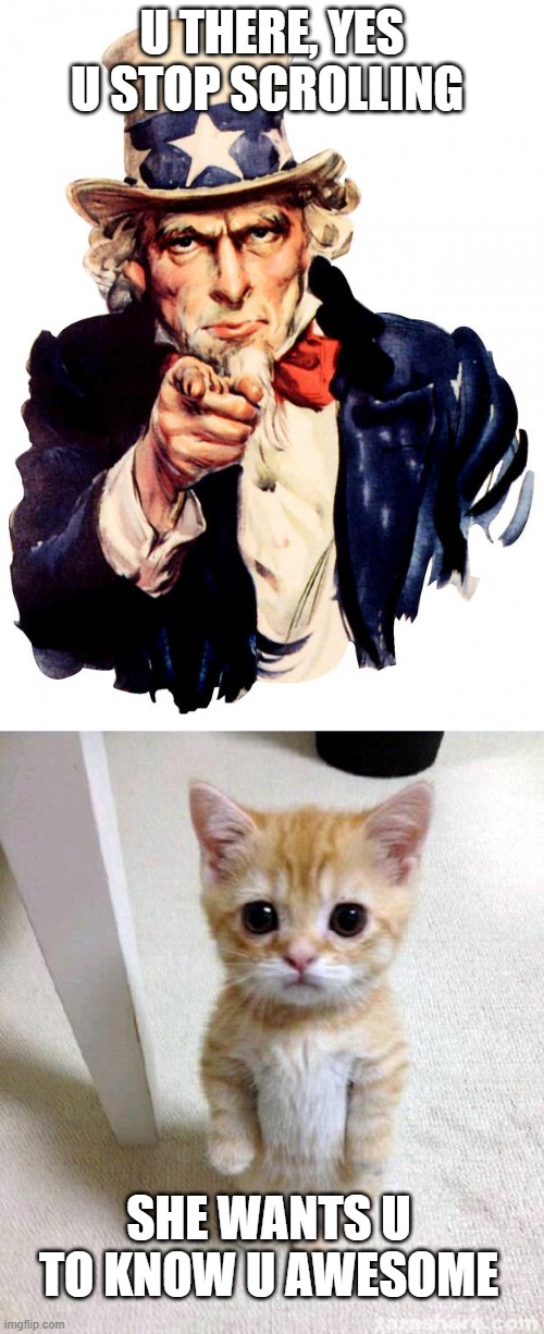 U THERE, YES U STOP SCROLLING; SHE WANTS U TO KNOW U AWESOME | image tagged in memes,uncle sam,cute cat | made w/ Imgflip meme maker
