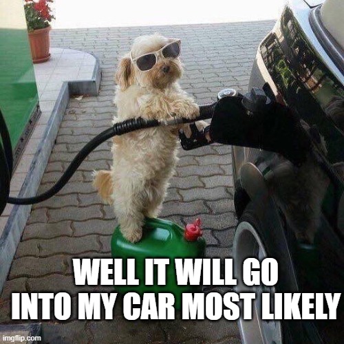 Gas Station Attendant | WELL IT WILL GO INTO MY CAR MOST LIKELY | image tagged in gas station attendant | made w/ Imgflip meme maker