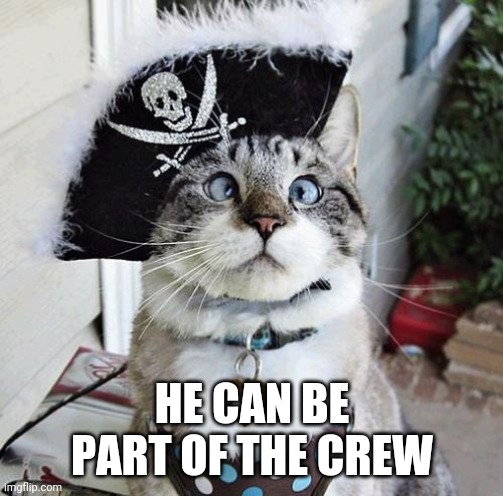 Spangles Meme | HE CAN BE PART OF THE CREW | image tagged in memes,spangles | made w/ Imgflip meme maker