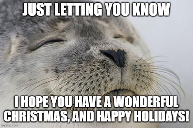 Merry Christmas | JUST LETTING YOU KNOW; I HOPE YOU HAVE A WONDERFUL CHRISTMAS, AND HAPPY HOLIDAYS! | image tagged in memes,satisfied seal,happy,merry christmas | made w/ Imgflip meme maker