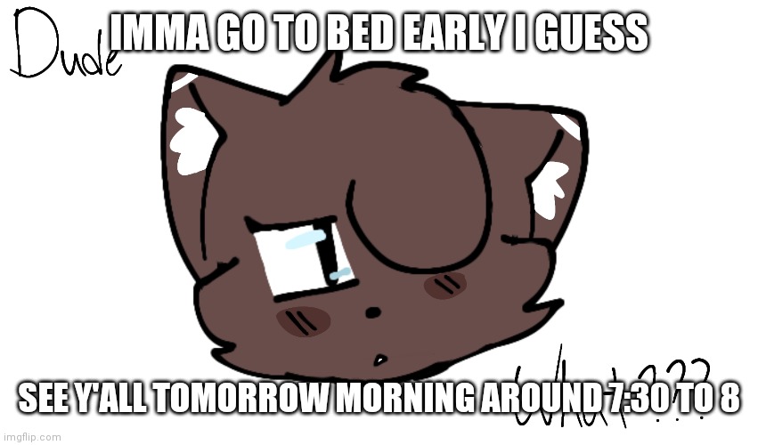 G'night | IMMA GO TO BED EARLY I GUESS; SEE Y'ALL TOMORROW MORNING AROUND 7:30 TO 8 | image tagged in bruh | made w/ Imgflip meme maker