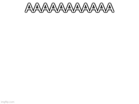 Blank White Template | AAAAAAAAAAA | image tagged in blank white template | made w/ Imgflip meme maker