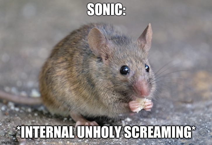 Internal unholy screaming | SONIC: | image tagged in internal unholy screaming | made w/ Imgflip meme maker