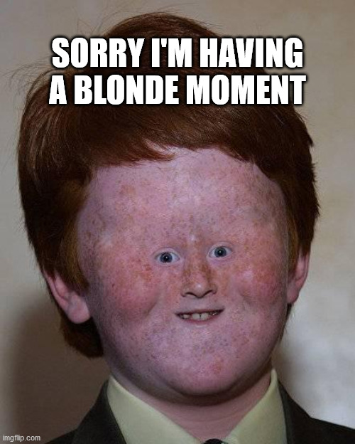 Dumb Ginger | SORRY I'M HAVING A BLONDE MOMENT | image tagged in dumb ginger | made w/ Imgflip meme maker